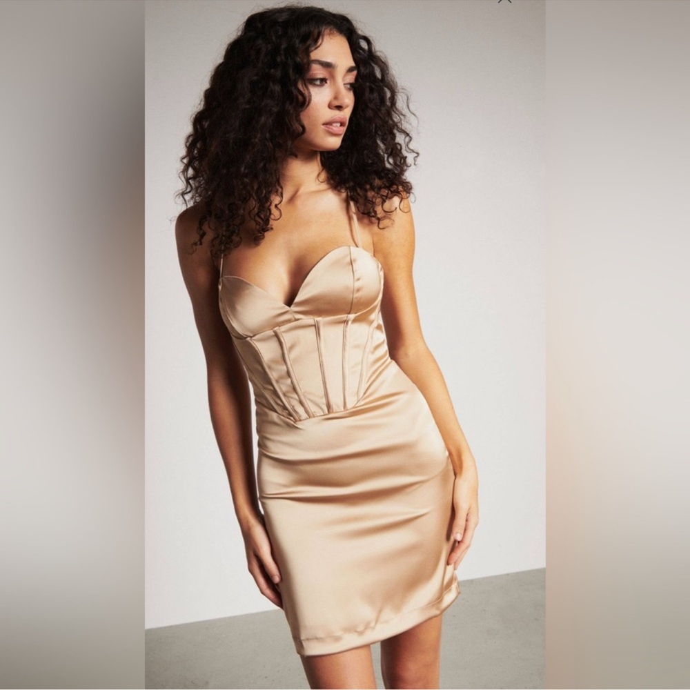 Dynamite Scarlett Corset Satin Mini Dress
